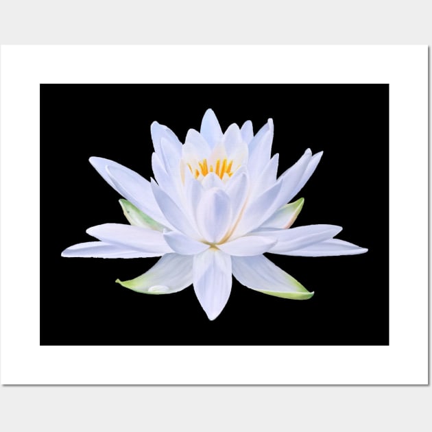 My Ghost - waterlily blossom Wall Art by EmilyBickell